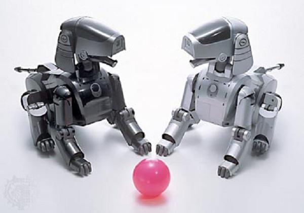 Entertainment Robot Toys