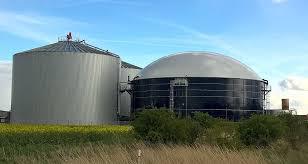 Europe Biogas Market