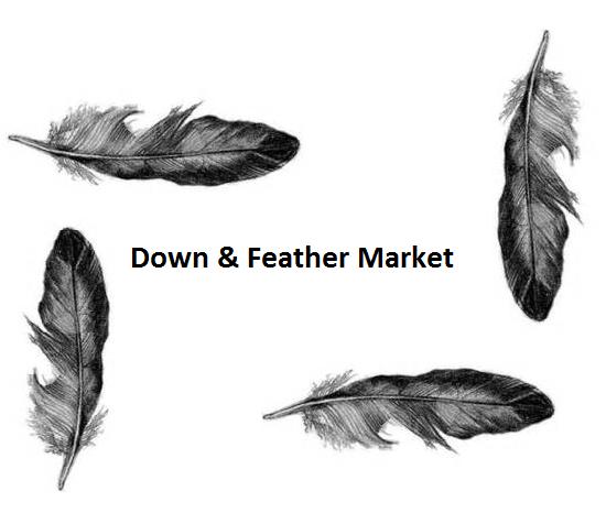 Down & Feather