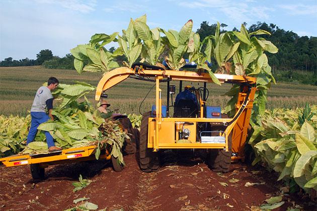 Tobacco Harvester Market to 2023 - Top Companies are Asia Technology, Somaref, Spapperi, Littau Harvester, Moresil, Oxbo Internati