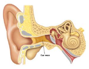 The Ear Depot Excelling in Providing Solutions to Hearing Problems