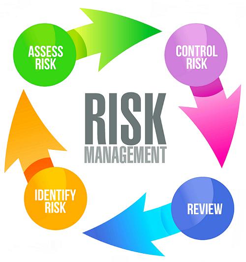 Risk Analysis Management Market