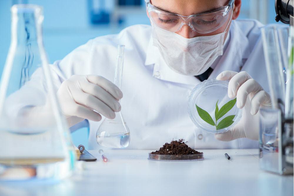 Can Current Soil Testing Labs Meet Growth in the Organic Farming Industry?