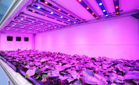 Grow Lamps Market to 2025 - Top Companies are GE, Philips, Hydrofarm, Kind, Lithonia, Aerogarden, Feit Electric, Satco, Sunlight S