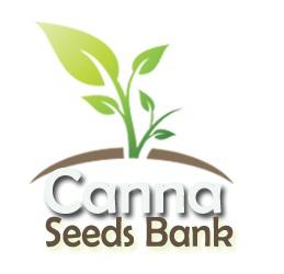Canna Seeds Bank is the best place to buy medical cannabis seeds