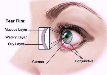 Dry Eye Syndrome Therapeutics Key Players Analysis Ocular