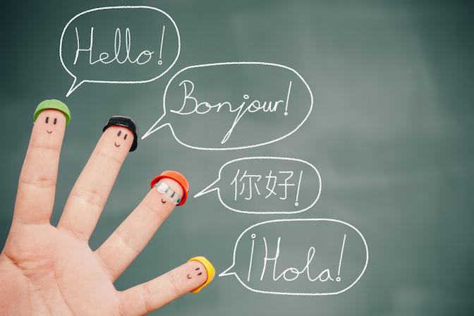 Multilingual Education services