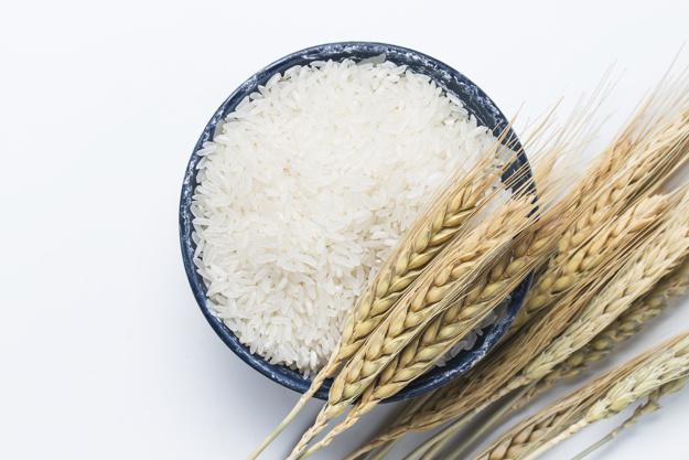 Global Rice Protein Market to grow by CAGR of 8.45% during