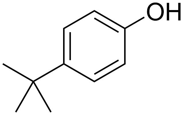 P-Tert-Butylphenol Market