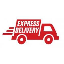 Global Express Delivery Market 2019