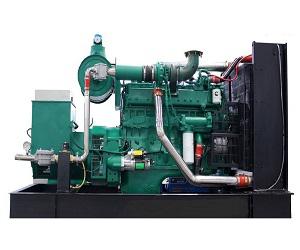 Global Biogas Generator Market