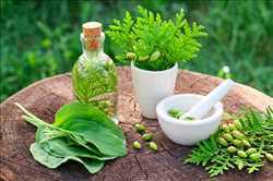 Herbal Medicine Market