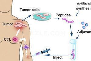 Global Peptide Cancer Vaccine Market