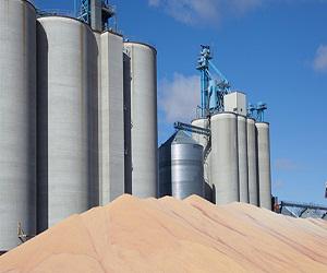 Global Grain Fumigants Market