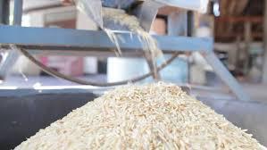 Rice Milling Market