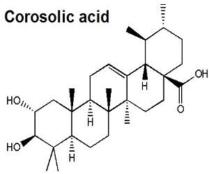 Global Corosolic Acid Market