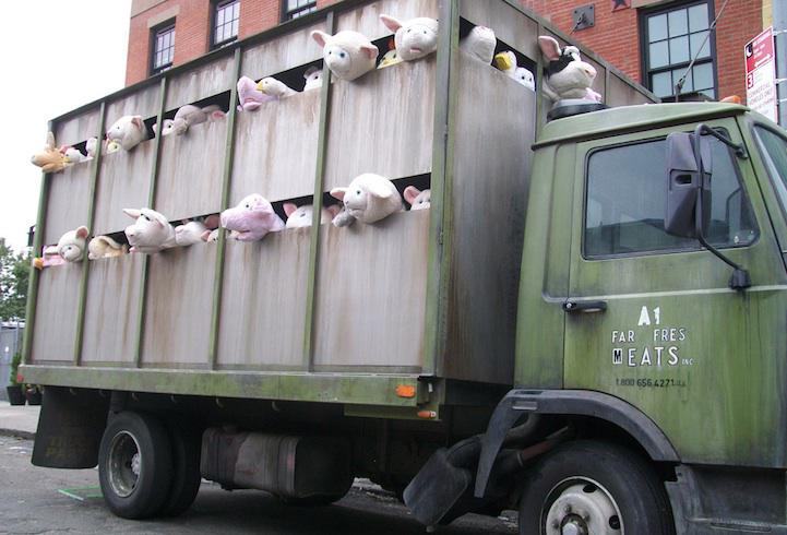 Hundreds of millions of live farm animals are being transported