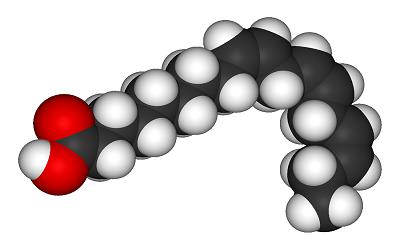 Global Alpha Linolenic Acid(ALA) Market