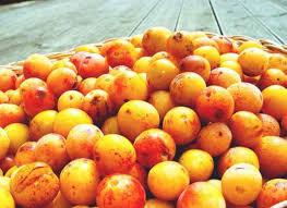 Mirabelle Plum Market