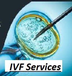 IVF Services Market | Industry Analysis Ambroise Paré Group,