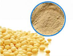 Global Soybean Extract Market Insight Report 2018 - Carrubba,