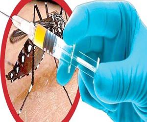 Global Dengue Vaccines Market