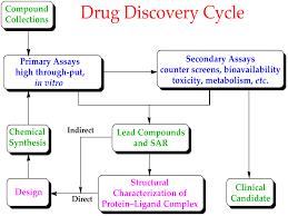 Biologics Drug Discovery