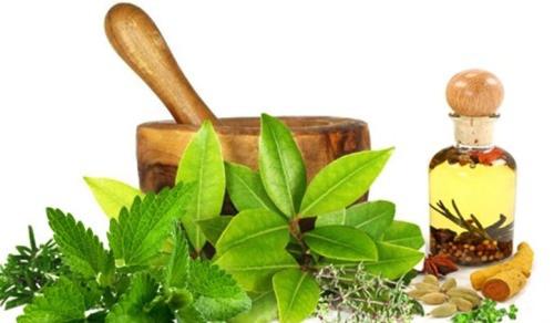 Herbal Extract Market: 2019 Opportunities and Forecast |
