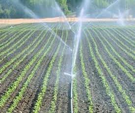 Micro and Mechanized Irrigation Systems Market