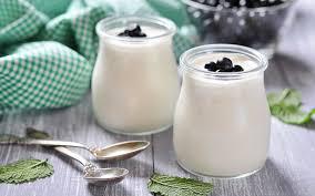Yogurt: Market 2019 Top Palyers and Key Trends | Danone,
