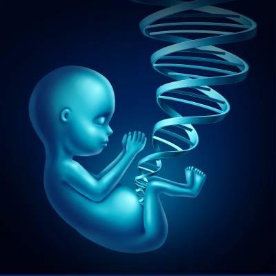 Global Gene Therapy Market Report 2019 Companies included Sangamo, Spark Therapeutics, Dimension Therapeutics, Avalanche Bio, Celladon and Others