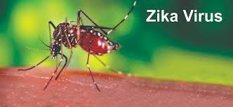 Zika Virus Market