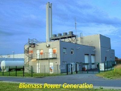 Biomass Power Generation Market