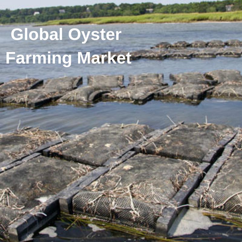 Global Oyster Farming Market Precise Outlook To 2023 By France