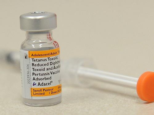 Pertussis Vaccine Market