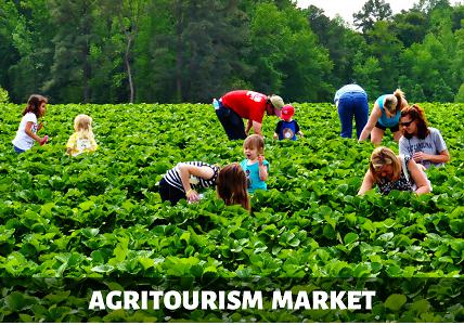 Agritourism Market 2019: Top Companies Fareportal/Travelong,