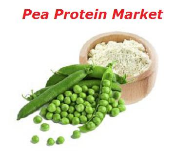 Pea Protein Market 2019