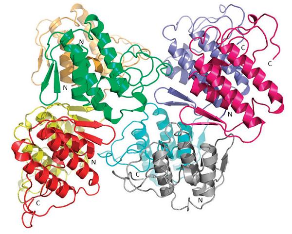 Global Proteomics Market growing at a CAGR of 11.68% from 2017 to 2025