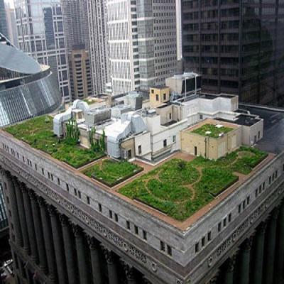 Global Green-Roof Market Report 2019 Companies included Optigreen, TAJIMA, Soprema, Tremco, Sempergreen, Onduline, ZinCo, KAJIMA and Others