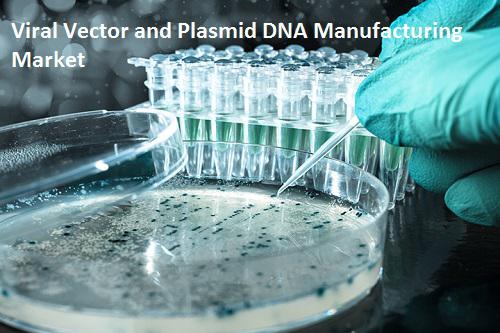 Viral Vector and Plasmid DNA Manufacturing Market