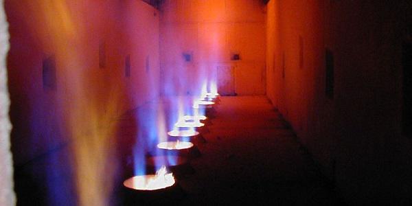 Combustion Furnaces Market