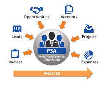 Professional Service Automation (PSA) Market Segmentation
