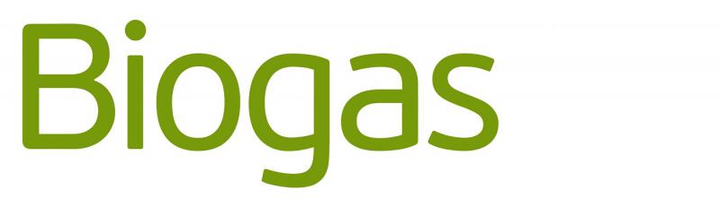 Biogas Market By Application – Global Industry Analysis