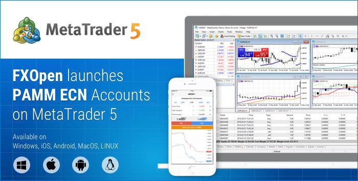 FXOpen: PAMM ECN Accounts are launched on MetaTrader 5
