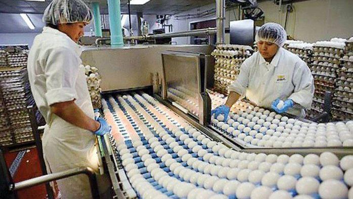 Eggs Products Processing Market