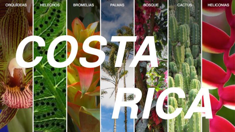 Botanical Tour in Costa Rica