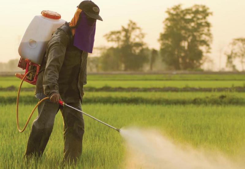 Agrochemicals Market