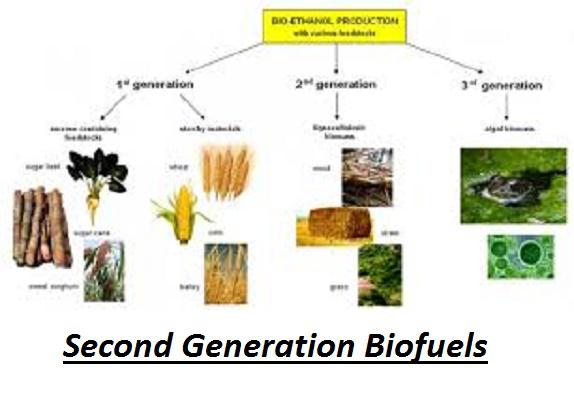 Second Generation Biofuels