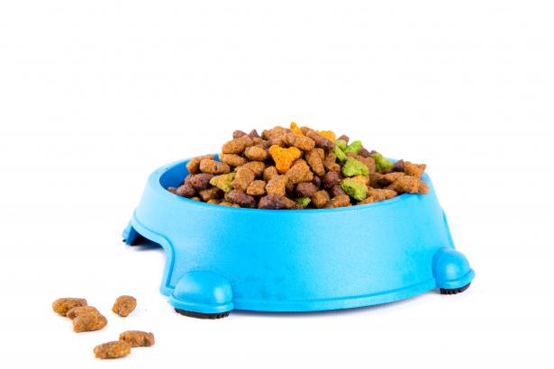Monitoring Temperature for Quality Control in the Pet Food