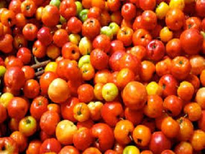 Acerola Extract Market Research Report